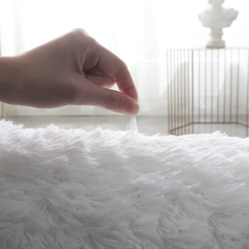 Thick Fluffy Rug