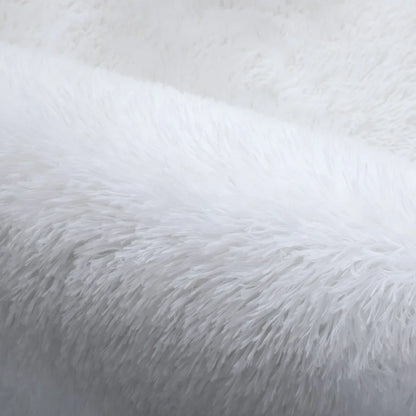 Thick Fluffy Rug